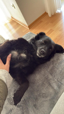 MITZI/LOLA