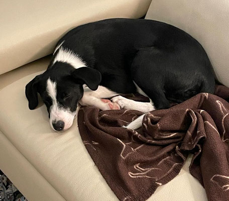 ZUKO