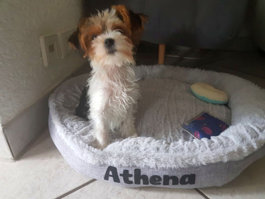 ATHENA