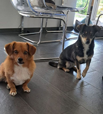 LOTTI & ROCCO