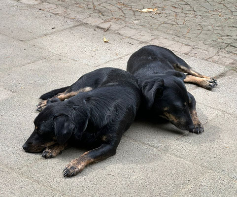 JUTKA & RANEK