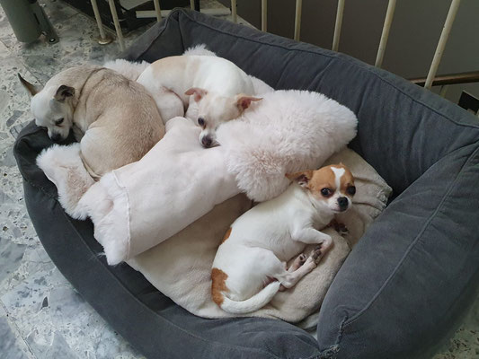 LILO