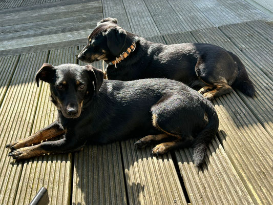 JUTKA & RANEK