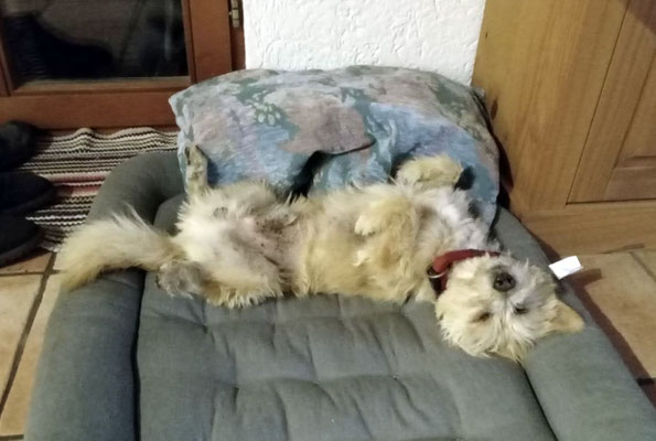 PIXEL