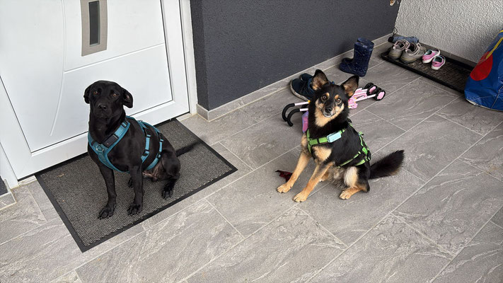 COCO & CYGAN