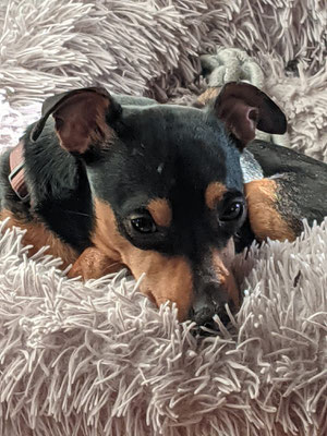WINNIE