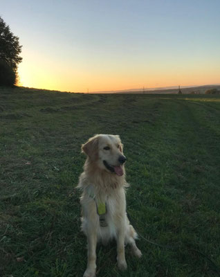 SAM