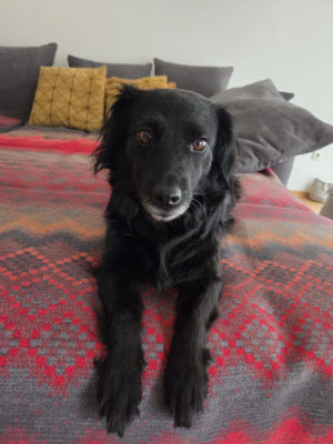 MITZI