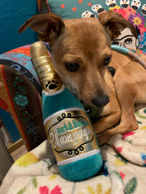 ROXY