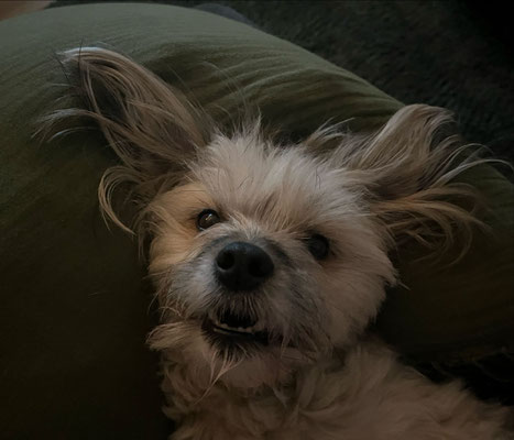 BONNIE