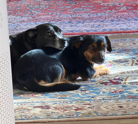 EDDIE & WILMA