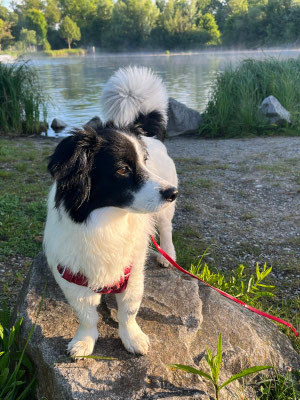 LEWI