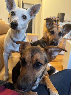 BERTA, GRETEL & SILKE