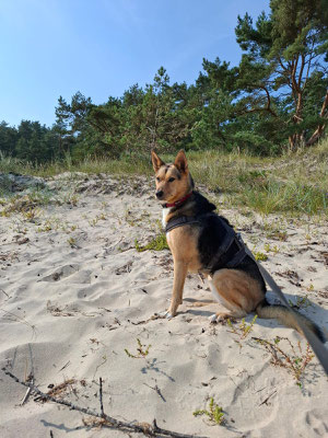 NORA