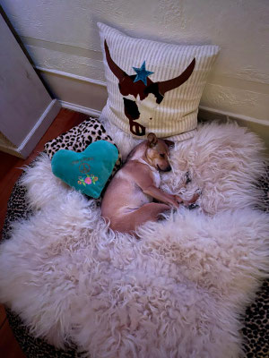 ROXY