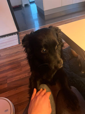 BLACKY