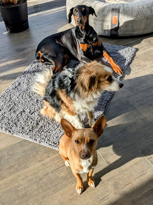 CHARLOTTE, SOPHIA & MALWINA