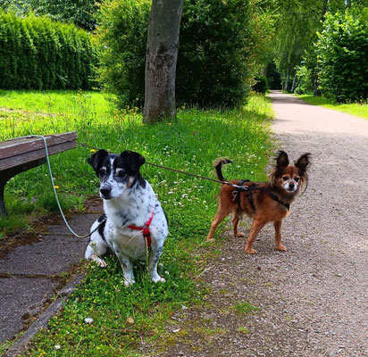 PACO & PEDRO
