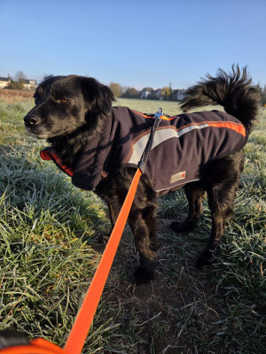 MITZI