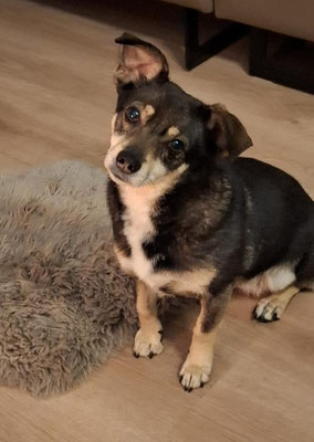 LOTTI