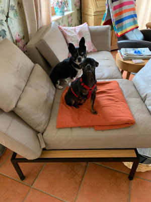 ISA & YOSHI