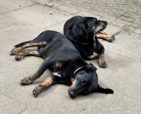 JUTKA & RANEK