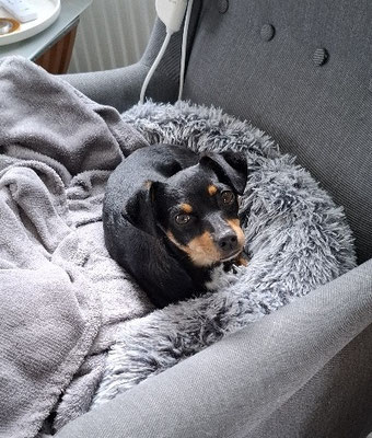 CHICO