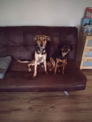 WAJANA & WILMA