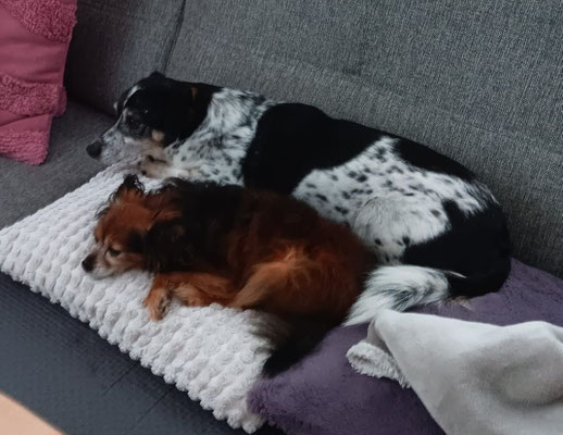 JACKY & PEDRO