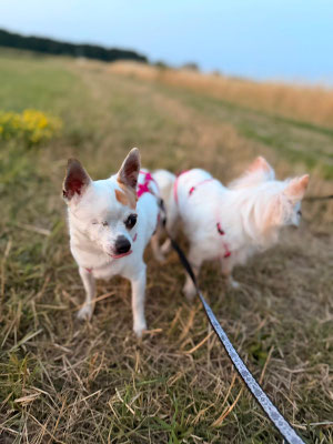 SONIA & QUINI