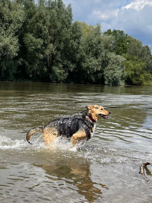 NORA