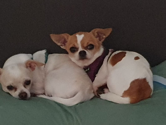 LILO