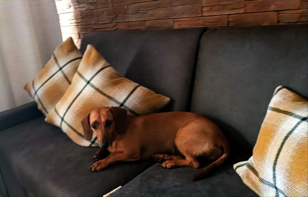 NELA