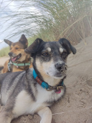 MILOU & FEIVEL
