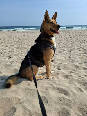 NORA