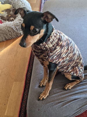 WINNIE