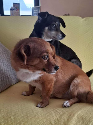 LOTTI & ROCCO