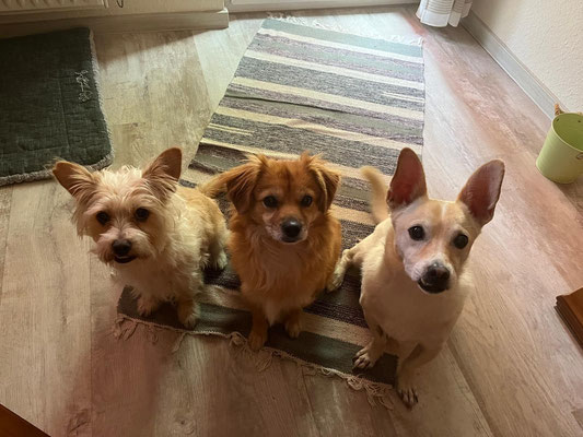 MARTY, NELLY & KLAUSI