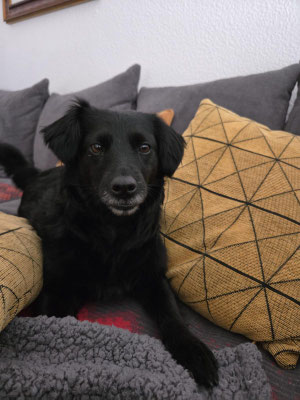 MITZI/LOLA