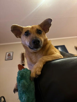 CHICO