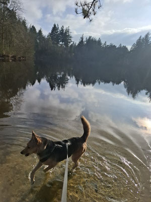 NORA