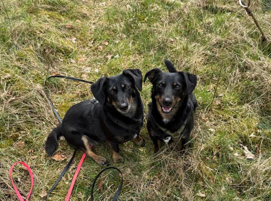 JUTKA & RANEK