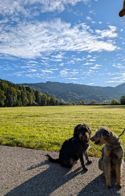 OLE & ELLI