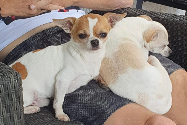 LILO