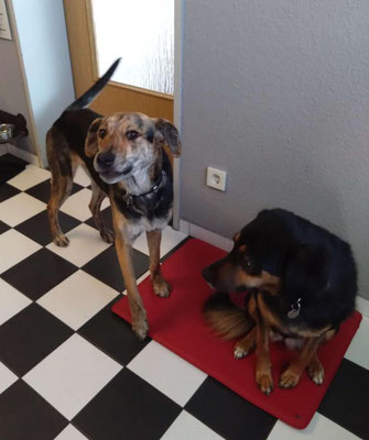 FANNY & WILMA