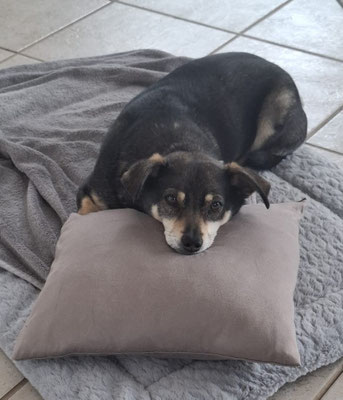 LOTTI