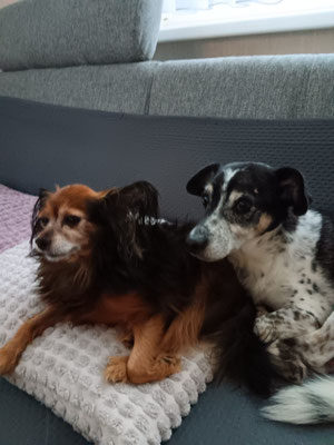 PEDRO & JACKO