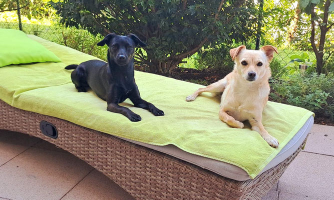 COCO & MINI