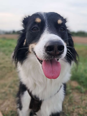 BENJI