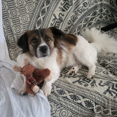 MARLEY